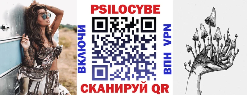 Галлюциногенные грибы прущие грибы  Новосиль 